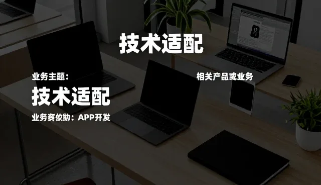 商贸系统技术适配中的适用条件分析与应对策略